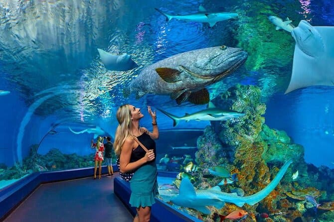 Hurghada Grand Aquarium Entry Ticket with Transfer