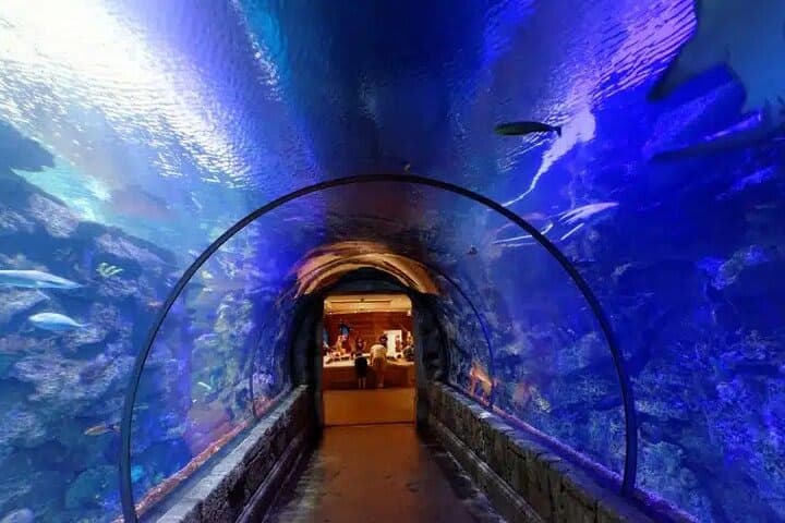 Hurghada Grand Aquarium Entry Ticket with Transfer 4